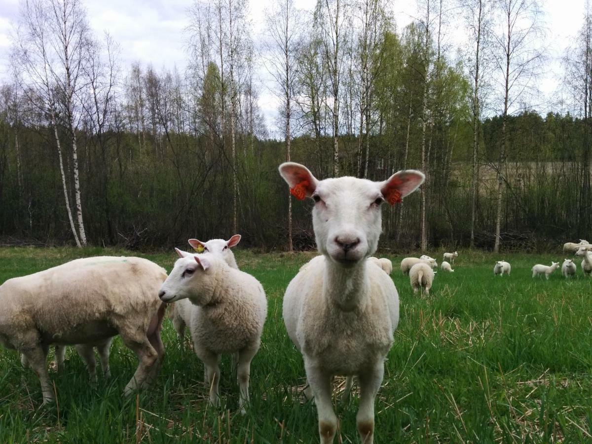 Hotel Kujanpaeae | Paajoen Vuokramoekit à Himos Extérieur photo